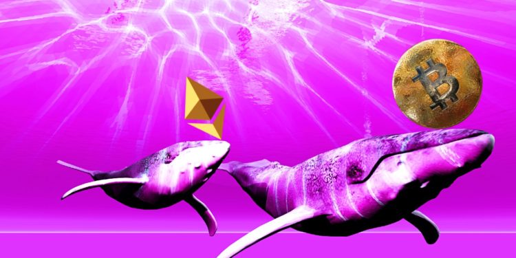 Ethereum’s Next Move Hinges on This Bitcoin Indicator, Says Crypto Analyst Benjamin Cowen