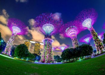 South Korea Mulls Singapore-style Approach to Crypto Regulation