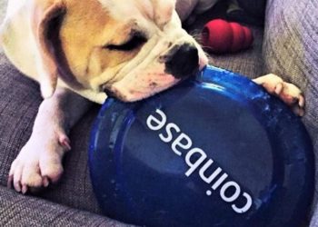 ‘Locked-Out’ Users Sue Coinbase For North of USD 5M