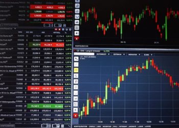 What You Need to Know