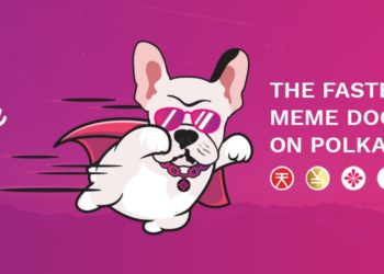 Introducing “the Fastest DeFi Meme Dog” this Side of the Moon, PDOG