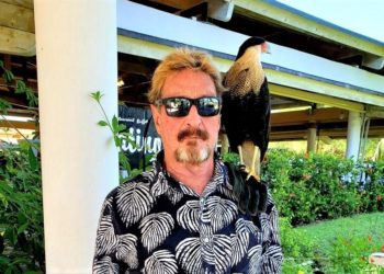 McAfee’s Extradition, Wood’s Crypto Shopping, Coinbase In Japan + More News