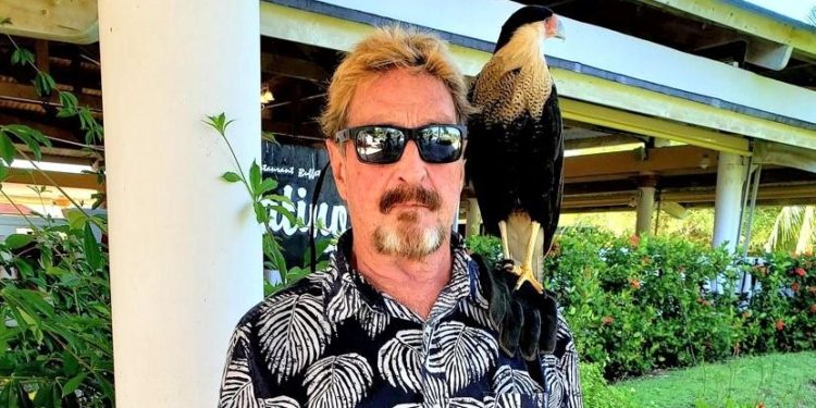 McAfee’s Extradition, Wood’s Crypto Shopping, Coinbase In Japan + More News