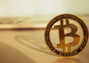 Bitcoin Whales Are Accumulating Behind The Scenes Adding 50,000 BTC to Their Wallets