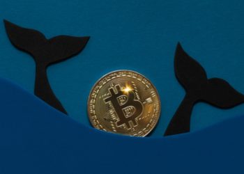 ‘Millionaire’ Bitcoin Whales Accumulates Extra 90,000 BTC