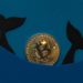 ‘Millionaire’ Bitcoin Whales Accumulates Extra 90,000 BTC