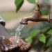 Bitcoin Water Trust Receives Over $1.3M BTC Donations For Charity within Three Weeks