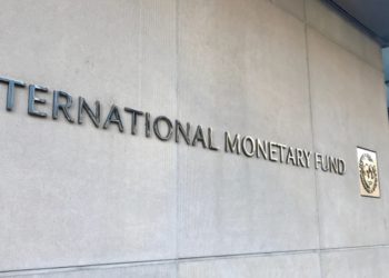 IMF Concerns El Salvador Bitcoin Adoption as Legal Tender