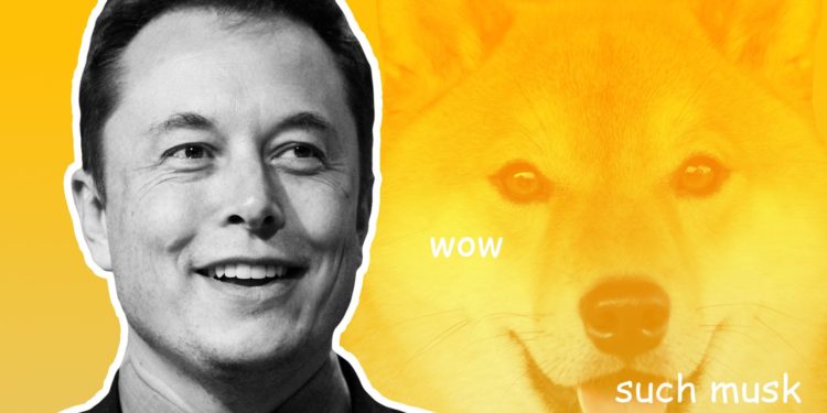 Elon Musk Leaving Doge Behind For New Dog Coin?