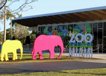 Top 5 Funny Moments At The Bitcoin 2021 Conference In Miami