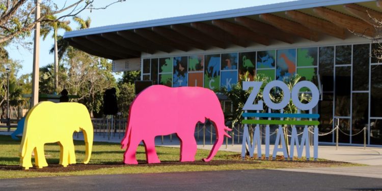 Top 5 Funny Moments At The Bitcoin 2021 Conference In Miami