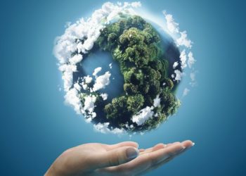 Is The Planet the Price We Pay For Things of Beauty?