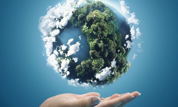 Is The Planet the Price We Pay For Things of Beauty?