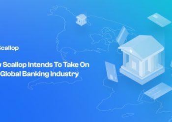 How Scallop Intends to Take on The Global Banking Industry