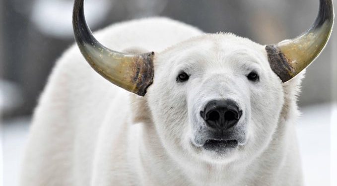 Digital Copper, Volume Explosions, Paradigm Shifts and 20 Crypto Jokes