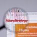 MicroStrategy Proposes Private Offering Of $400 Million To Buy More Bitcoin