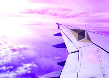 Ethereum Could Surge Above $20,000 on Back of This Emerging Crypto Sector, According to Coin Bureau