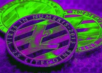 US Government Auctions Off Litecoin and Bitcoin Cash Seized From Tax Evader