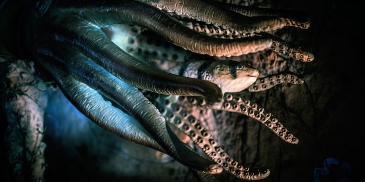 The Best Decentralized Derivatives Experience — the Octopus Protocol Vision