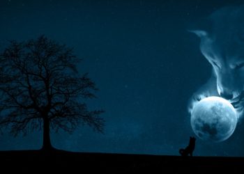 Coinbase Pro To List Shiba Inu, The “Dogecoin Killer” Price Soars