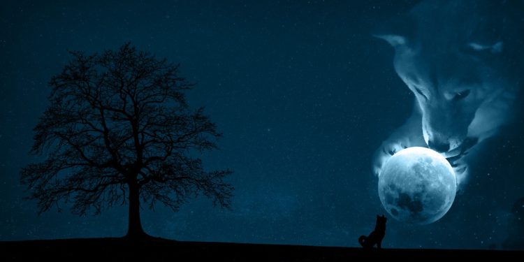 Coinbase Pro To List Shiba Inu, The “Dogecoin Killer” Price Soars