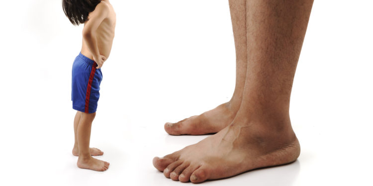 What The Last Leg Up In The Crypto Bull Market Could Look Like