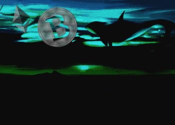 Are Bitcoin Whales Buying? Crypto Analytics Firm Santiment Weighs In on State of BTC Market