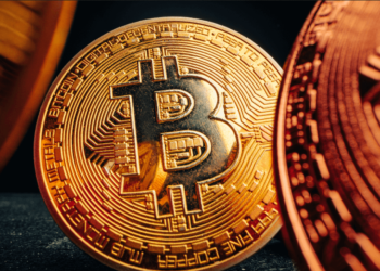 People ‘Should Have Exposure’ to Bitcoin