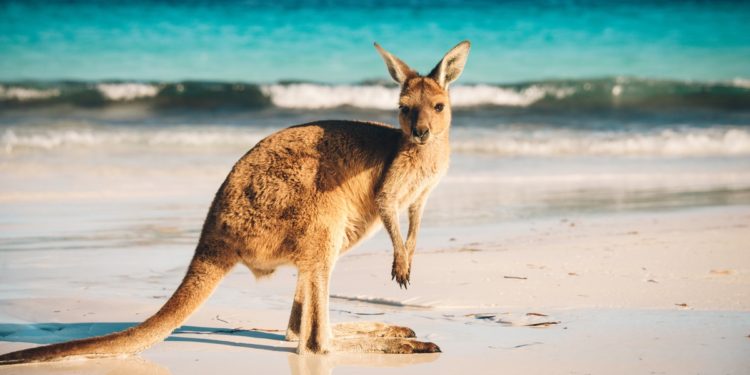 Australia Sponsors Two Blockchain Pilot Projects for AU$5.6M