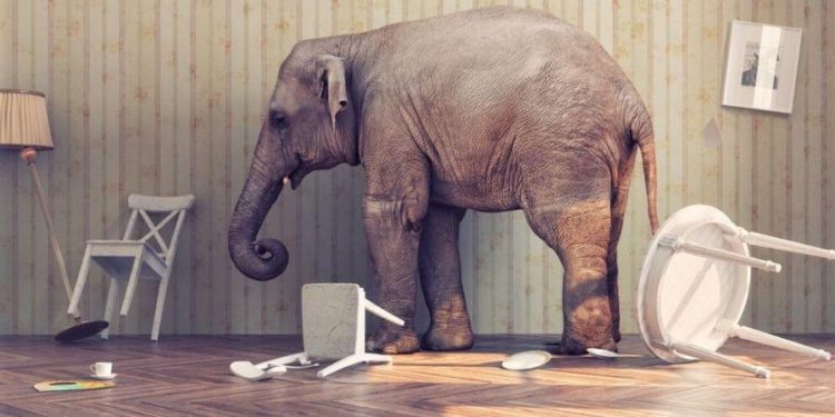 Regulators Must Make Sea Change on Crypto, and IMF Is Ready To Engage