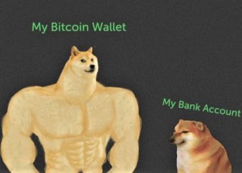 Bitcoin Noobing, Asset Teasing and 20 Crypto Jokes