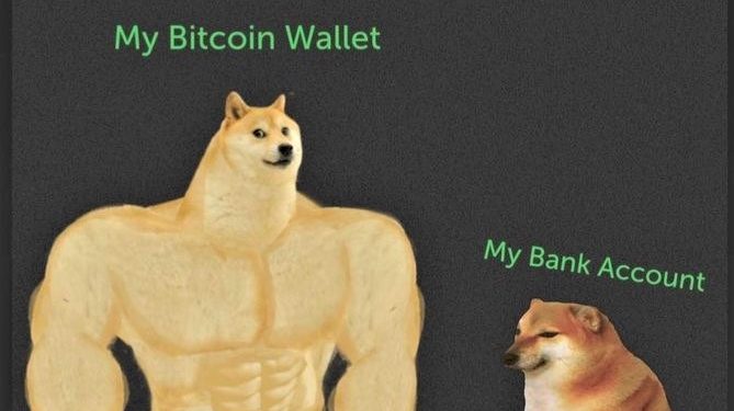 Bitcoin Noobing, Asset Teasing and 20 Crypto Jokes