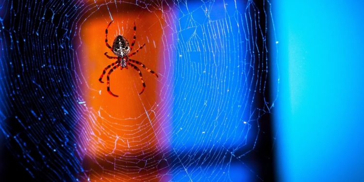 ‘Don’t Be Lulled’ as European Commission Mulls a Crypto KYC Trap