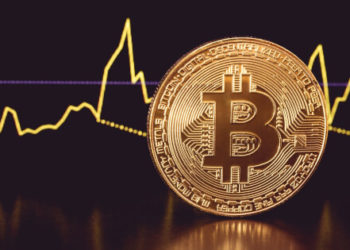 Bitcoin Mild Volatility Lower than the Other Leading Cryptocurrencies in 2021