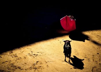 Bulls Back? Why Bitcoin Miners Could Be Key To Break $40K