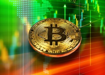 Bitcoin Whales Accumulate 60,000 Bitcoins In A Day. What Happens Now?