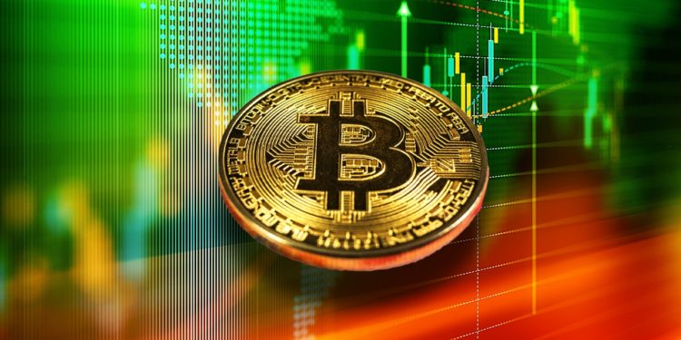 Bitcoin Whales Accumulate 60,000 Bitcoins In A Day. What Happens Now?