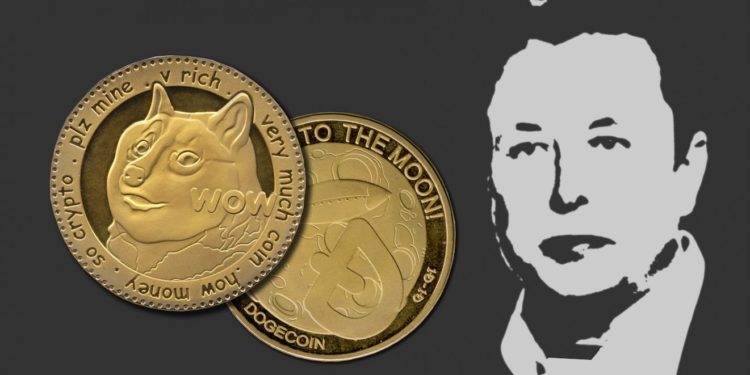 Elon Tried To Pump Doge And Failed, But Floki Inu Coin Soared