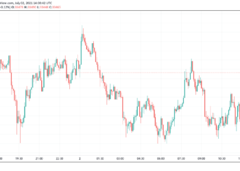 Bitcoin Whale Warns Of “November 2018 Vibes.” What This Means