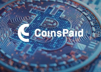 Industry Formation Using the CoinsPaid Example