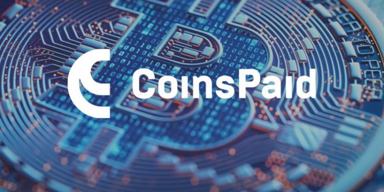 Industry Formation Using the CoinsPaid Example