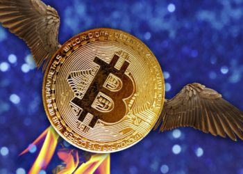 Bitcoin Up 20% Over Past Week – Is A Supply Squeeze Underway?