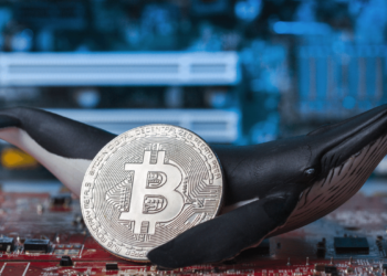 Whales Bought 60,000 Bitcoin Over The Weekend Worth $2.7 Billion