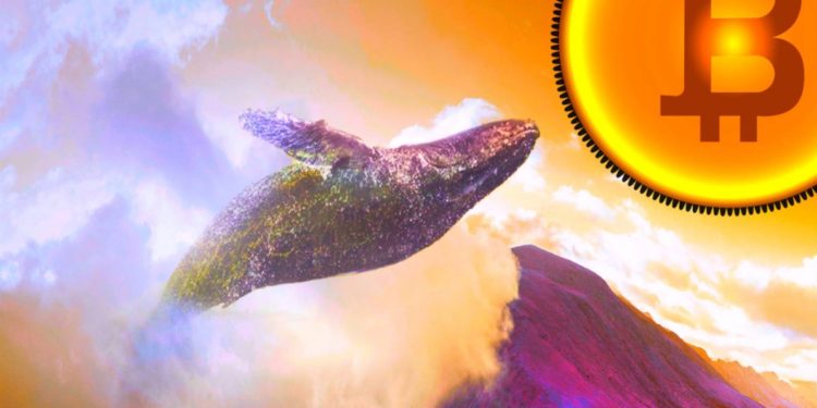 $15.3 Billion Worth Of BTC Moved In One Single Block