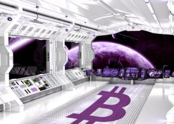 Elon Musk Says He Owns Bitcoin, Ethereum and Dogecoin, With Tesla and SpaceX Holding BTC for the Long Run