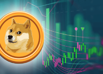 Cardano (ADA) And Dogecoin (DOGE) Record Highest Gains As Crypto Market Surges