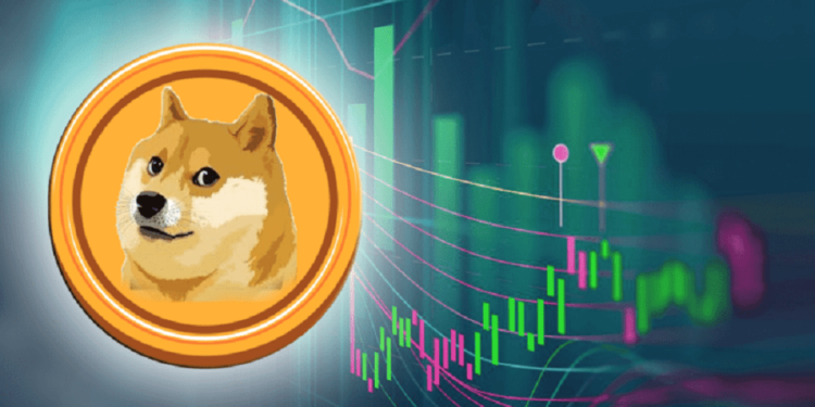 Cardano (ADA) And Dogecoin (DOGE) Record Highest Gains As Crypto Market Surges