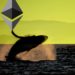 Whales Are Quietly Pouncing on Ethereum As Crypto Market Meanders, According to Analytics Firm Santiment