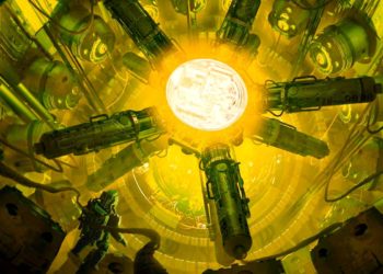 Big Money Buying Bitcoin, Ethereum, XRP, Polkadot, Cardano and Bitcoin Cash As Crypto Fund Inflows Return: CoinShares