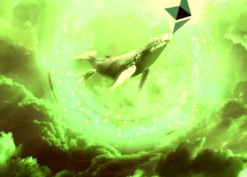10 Largest Ethereum Whales on Record Now Hold $48 Billion in ETH Shattering 5-Year High: Blockchain Analytics Firm Santiment